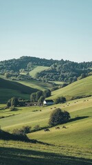Naklejka premium Serene Summer Countryside Landscape