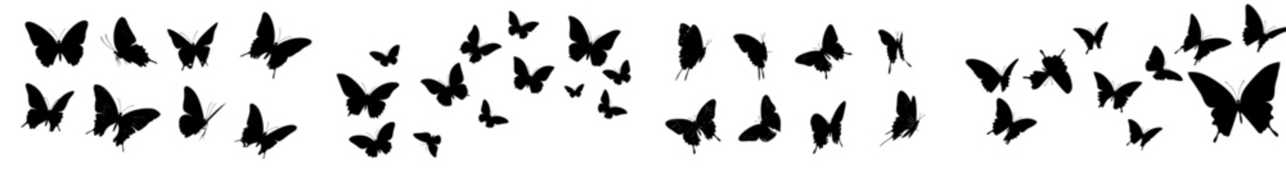 Obraz premium Flowing butterflies, ink silhouettes. Fireflies, glowworms, and butterflies icons isolated on white. Hand drawn elements, modern illustration.