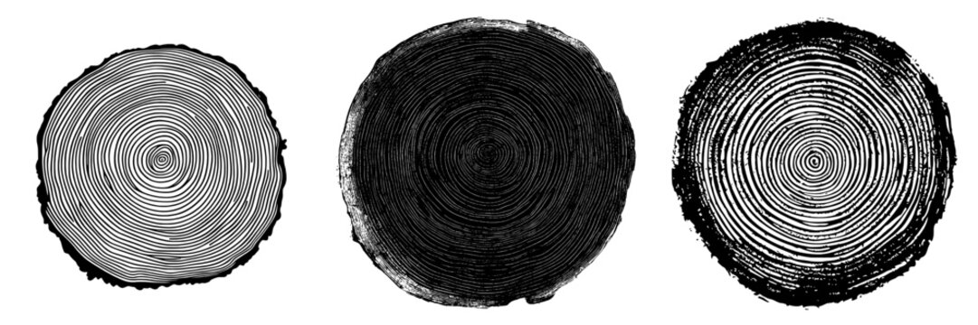 Game Tree Rings Texture Tree Ring Texture Images – Browse 168,521 Stock Photos, Vectors, and ...
