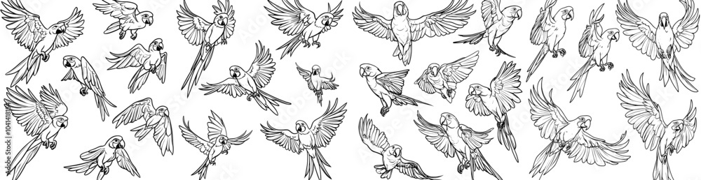 Poster An outline parrot collection isolated on a white background is part of a set pack of modern illustrations