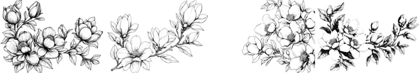 This is a line art sketch with black and white lines of magnolia flowers.