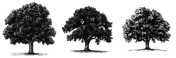 Isolated modern hand drawn sketch of ecology