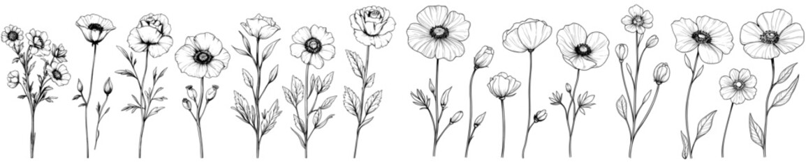 In this art piece, minimalist leaf drawings, simple botanical outline and wildflower sketches are isolated on white.
