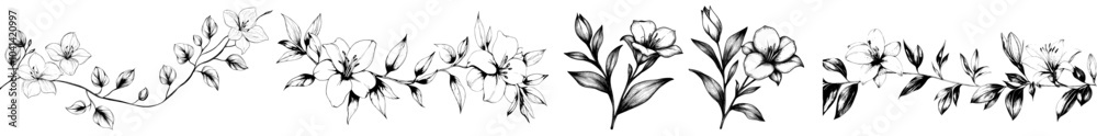 Poster flowers and leaves compositions using contour contour paths. elegant artwork for decoration. illustr
