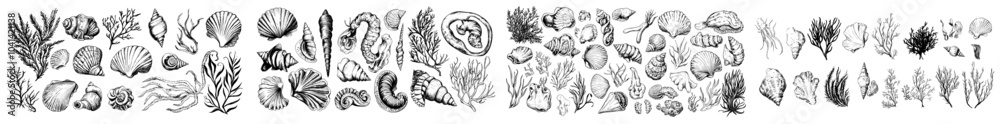 Poster a modern set of sea animals with seaweed, coral, and seashells. line art design of a seahorse and tu