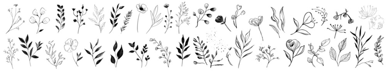 Collection of modern abstract minimal tattoo flowers. Modern illustration. Ink hand-drawn wild flowers with charcoal or crayon. Pencil drawn floral elements.