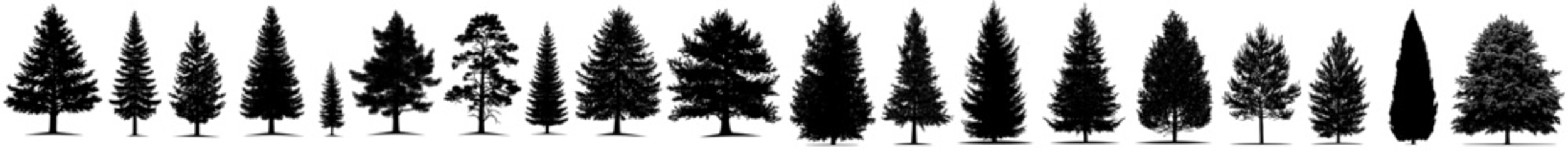 Fototapeta premium Detailed silhouette tree line drawing set, Side view, outline symbol symbols for architecture and landscape design. Mega collection of illustrations in stroke fill.