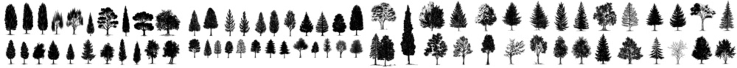 An illustration of 224 tree elements for architecture and landscape design drawing. Black and white isolated illustration for architecture and landscape design.