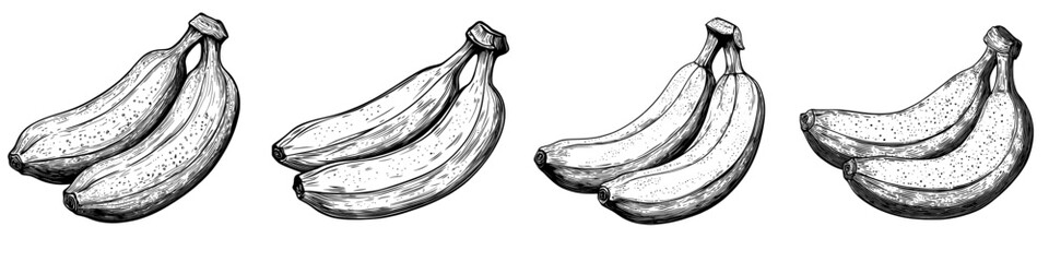 An illustration of a red banana, drawn in monochrome, with vintage engraving lines