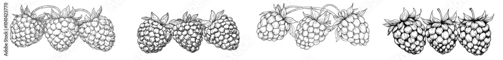 Aufkleber hand drawn sketch berries in linear drawing style with scarecrow. graphic design element. black whit
