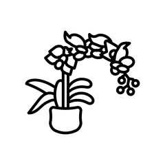 Moth Orchidicon Outline Icon, Vector illustration