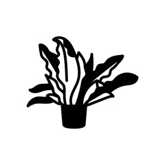 Birds Nest Fern Glyph Icon, Vector illustration