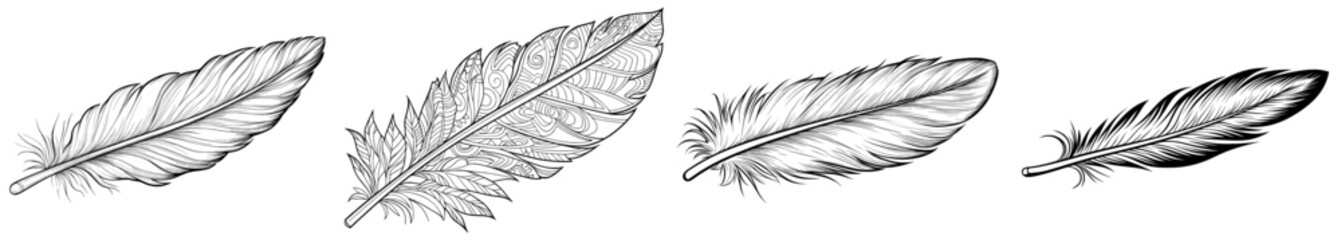 Obraz premium Lightness and freedom symbolized by a minimalist black and white feather illustration