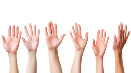 Obraz premium Group of female hands demonstrating size gesture against a white background