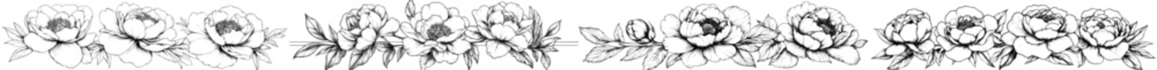 Obraz premium An isolated black ink sketch of a peony flower with a modern minimalist design.