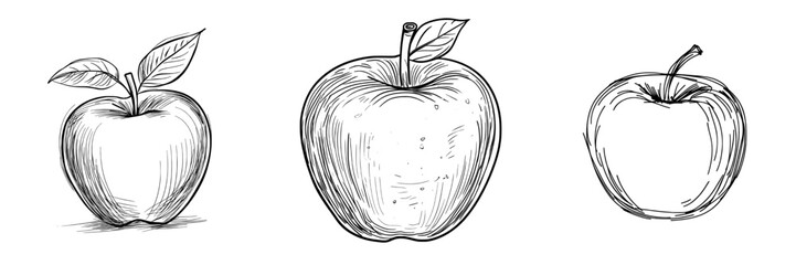 This is a modern illustration of an apple. Hand drawn sketch done in blue pen or marker with primitive kids in mind.