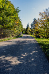 A road in the forest. A road in the fall 