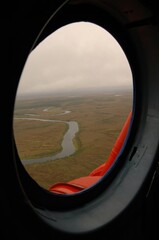 Taimyr. Far north of Russia. Wildlife