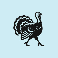 vector illustration of peacock