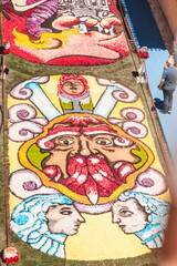 Obraz premium flower carpet in the street of the town of Noto in Sicily