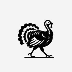Fototapeta premium illustration of a turkey black bird vector