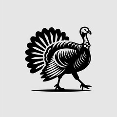 Fototapeta premium turkey bird vector black illustration