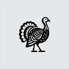 peacock vector illustration
