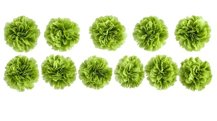 Vibrant green tissue paper pom-poms on white background for decoration