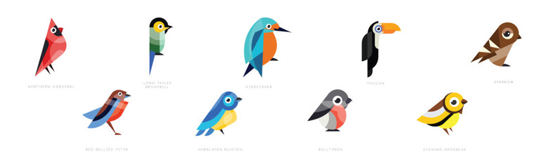 Different Bird Flat Icon with Name Vector Set
