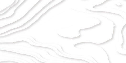 Abstract White Paper cut background. Modern 3d Paper cut background. Geometric map relief texture with curved layers and shadow. Topographic canyon