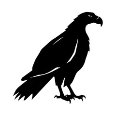 Obraz premium Silhouette of a Condor vector, Condor illustration