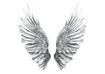 Photo of silver color wings .Transparent background. Isolated PNG.
