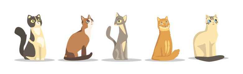 Different Cat Breed as Domestic Pet in Sitting Pose Vector Set