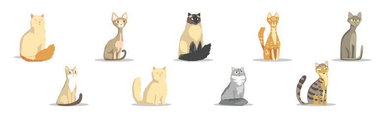 Different Cat Breed as Domestic Pet in Sitting Pose Vector Set