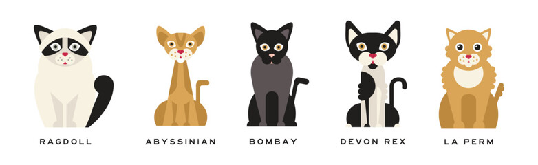 Different Cat Breed as Domestic Pet in Sitting Pose with Name Vector Set