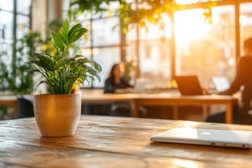 Young Entrepreneurs Discussing Investment Opportunities