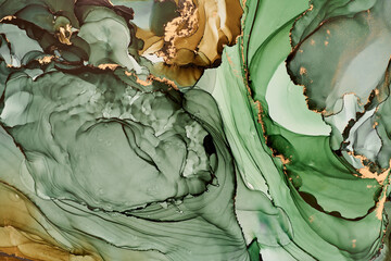 Obraz premium Swirls of color and veins of metallic gold form a flowing, abstract design, sense of movement and transformation. Fluid art, organic shapes and liquid ink textures, create of luxury and natural beauty