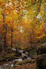 Urbion Mountains and Black Lagoon (Sierra de Urbion - Laguna Negra) Nature Reserve, Soria, Spain. Autunm season. Colorful picture.