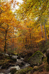 Fototapeta premium Urbion Mountains and Black Lagoon (Sierra de Urbion - Laguna Negra) Nature Reserve, Soria, Spain. Autunm season. Colorful picture.