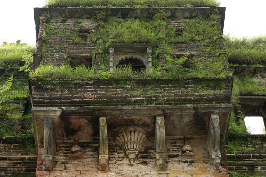 A beautifully decaying facade of an old building, where nature has taken over, covering the stonework with vibrant moss and grass, creating a harmonious blend of architecture and wilderness.