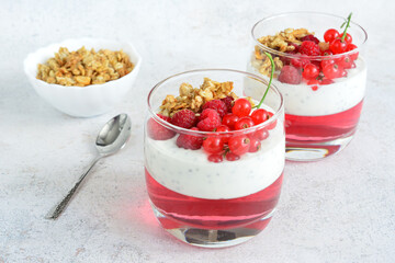a sugarfree dessert of yogurt with chia seeds, berries and walnut
