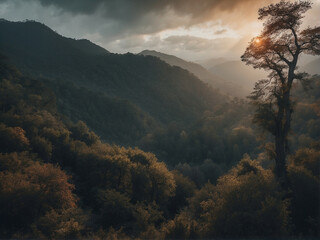 Dusk forest with mountains and golden sunlight filtering through