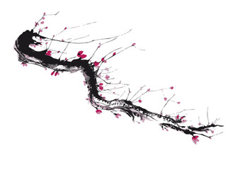 Realistic Watercolor Sakura Blossom - Japanese Painting Cherry Tree. Artistic Easter Branch Plum Blossom.  Vector