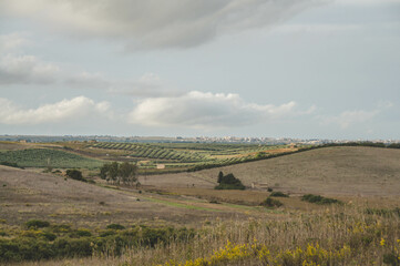 view of the village in region Selinunte in Sicily