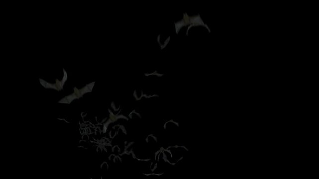 Halloween Bat Crowds on alpha channel.3D rendering. You can place on footage or background and easier to change colour.
