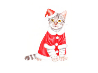 Watercolor and colored pencil drawing of a cat wearing a Christmas costume