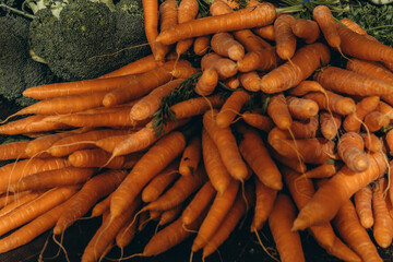 Natural pattern of fresh washed organic carrots. Full of many clean carrots vegetable background.