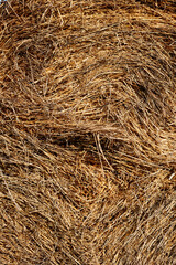 Vertical closeup image of haystack in sunlight with focus on texture copy space