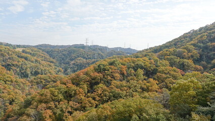 Obraz premium 紅葉の山