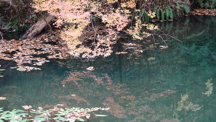水面に映る紅葉